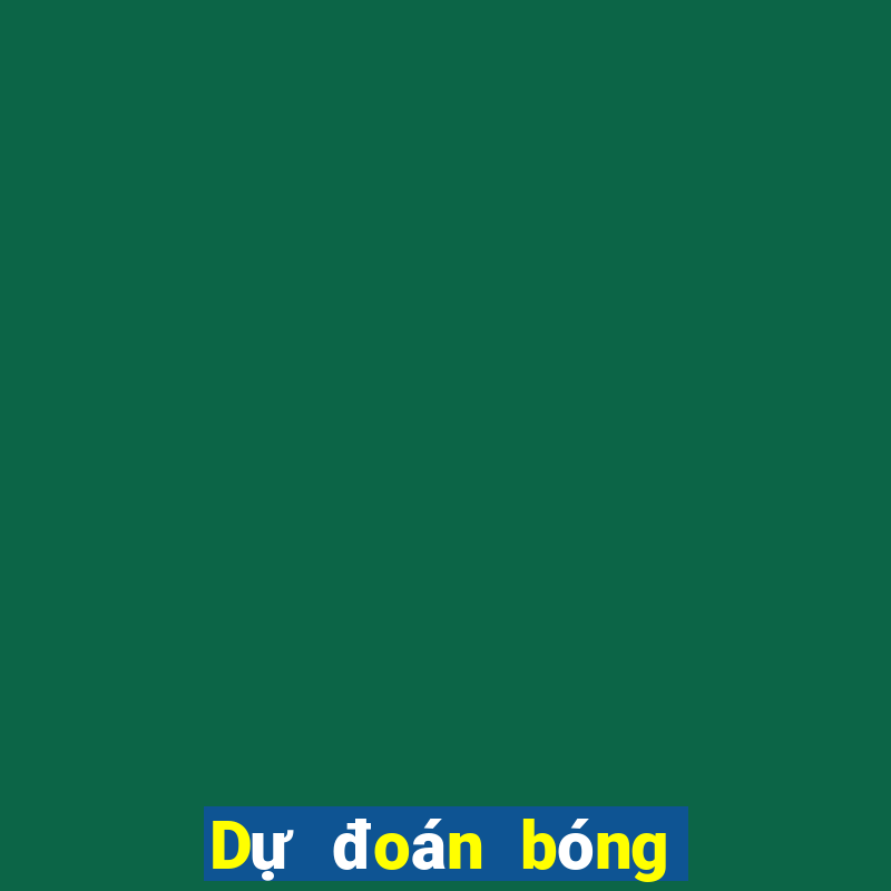 Dự đoán bóng rổ hôm nay