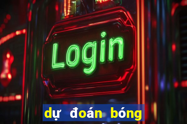 dự đoán bóng đá việt nam