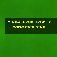 ý nghĩa của ước mơ trong cuộc sống