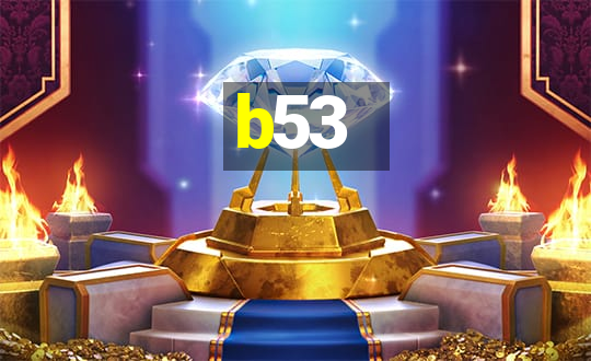 b53