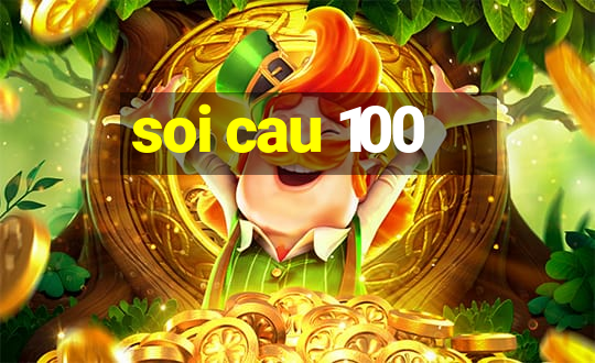 soi cau 100