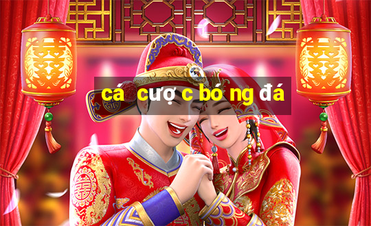 cá cược bóng đá