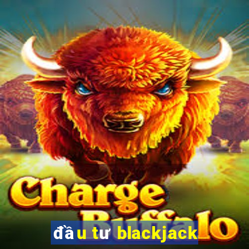 đầu tư blackjack