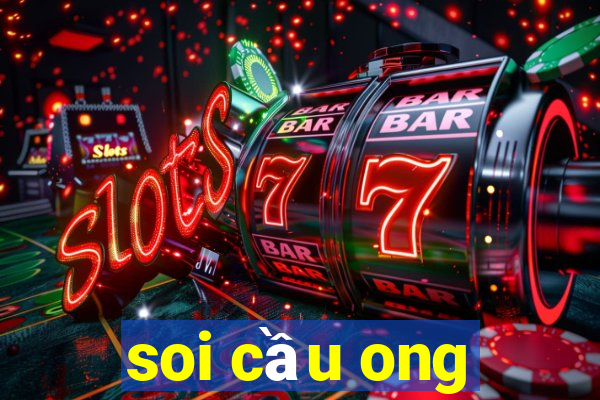 soi cầu ong