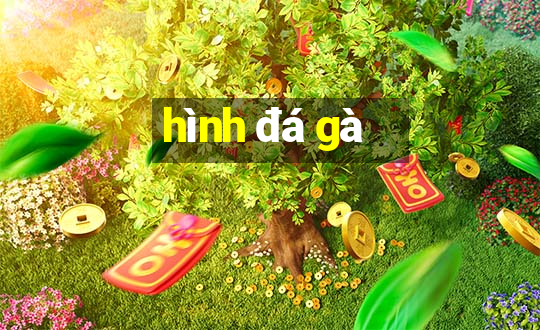 hình đá gà