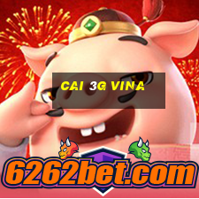 cai 3g vina