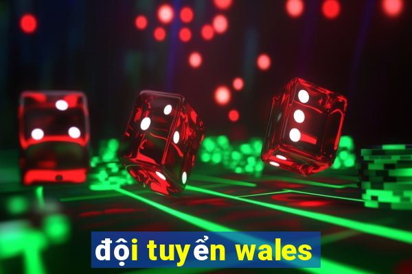 đội tuyển wales