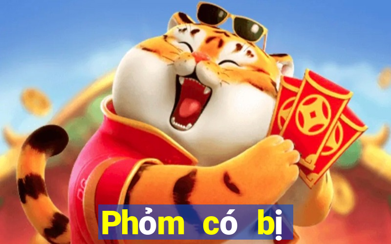 Phỏm có bị cấm không