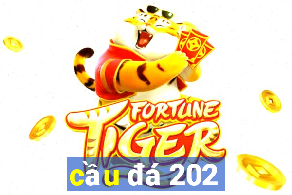 cầu đá 202