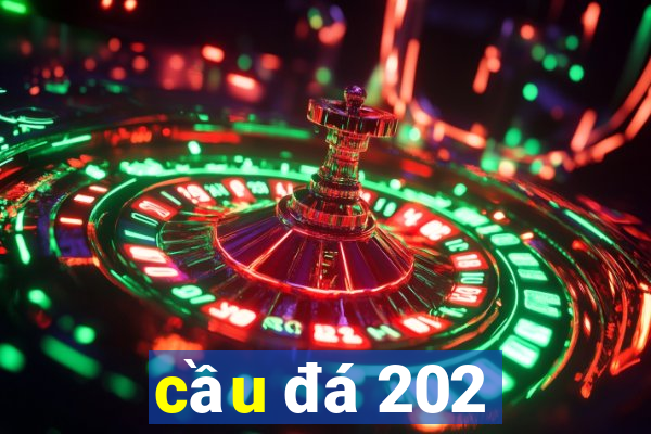 cầu đá 202