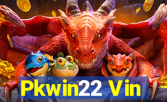 Pkwin22 Vin