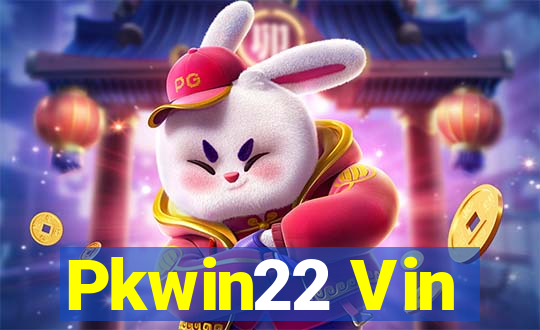 Pkwin22 Vin