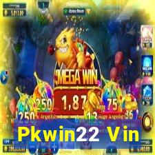 Pkwin22 Vin