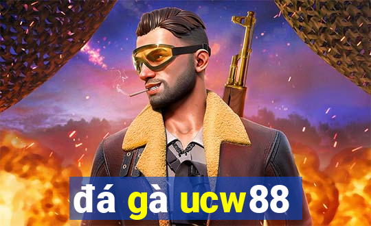 đá gà ucw88