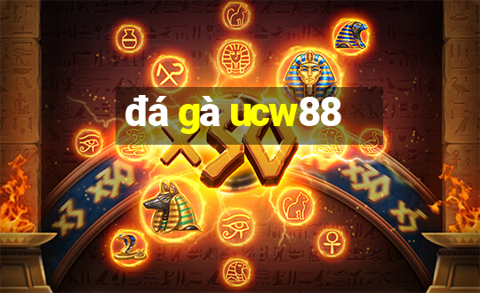 đá gà ucw88