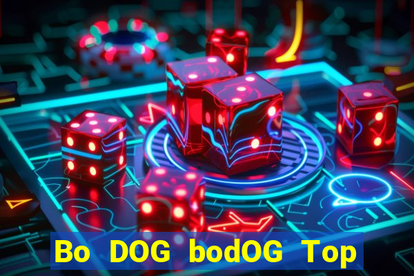 Bo DOG bodOG Top Bo Net