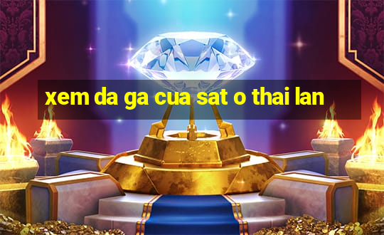 xem da ga cua sat o thai lan