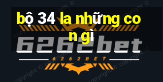 bộ 34 la những con gì