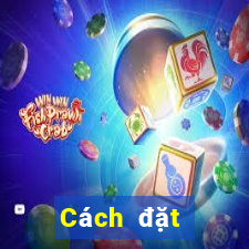 Cách đặt cược XSQNG ngày 7